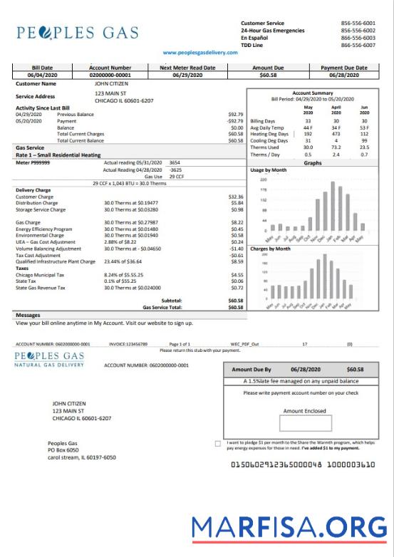 Printable USA Illinois Peoples Gas utility bill template in Word and PDF format